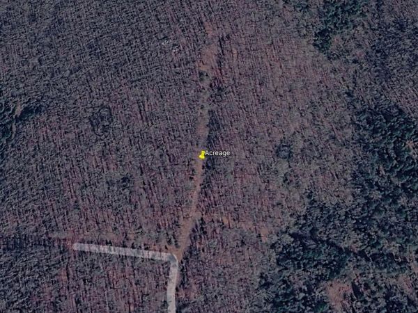 Turkey Springs Road , Highland Village, AR 72542