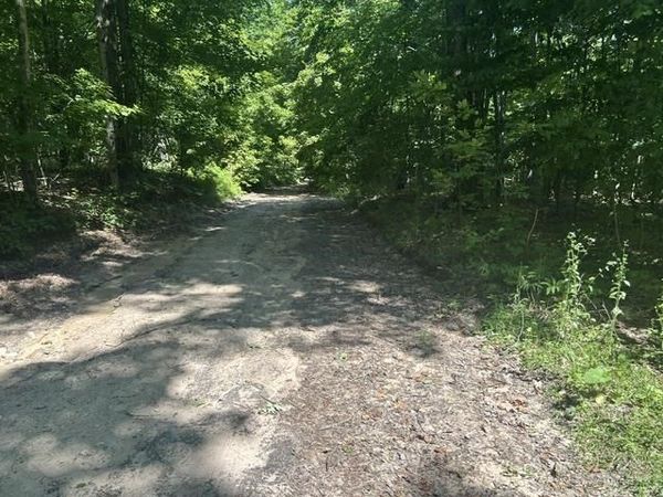V/A Teal Road, Pellston, MI 49769