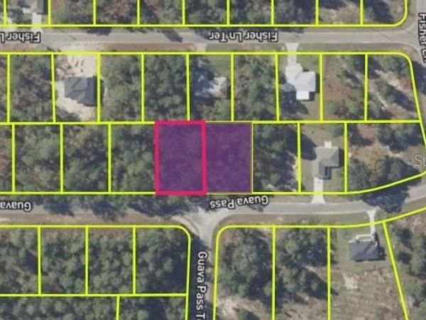 9037-1222-05 , OCKLAWAHA, FL 32179