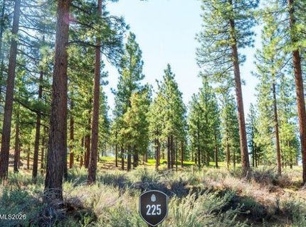 249 Redding Way, Lot #225 & 117, Carson City, NV 89705 Photo