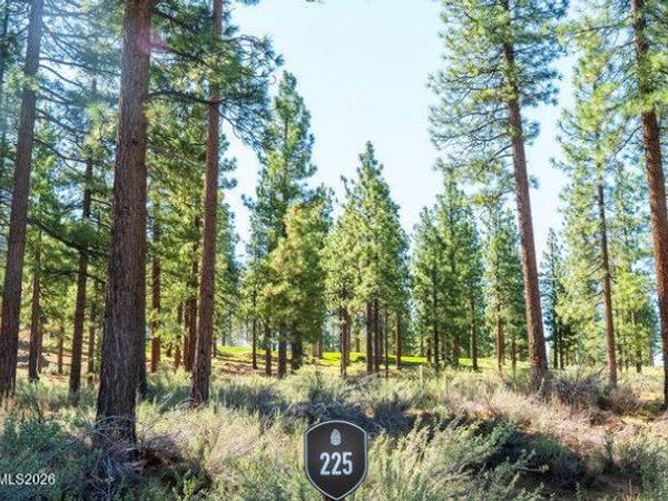 249 Redding Way, Unit 225, Carson City, NV 89705