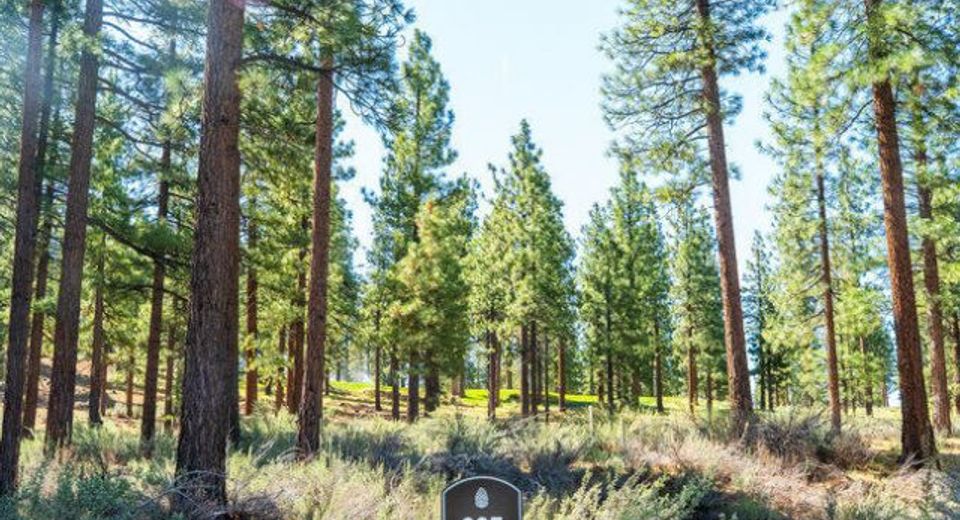 249 Redding Way, Lot #225 & 117, Carson City, NV 89705 Photo
