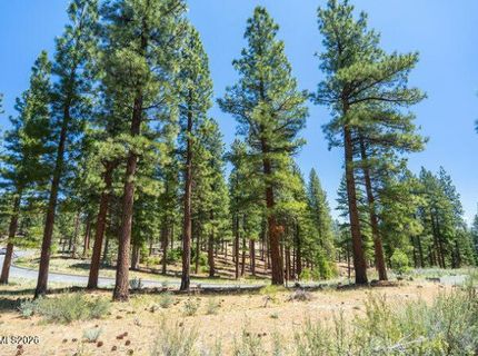 249 Redding Way, Lot #225 & 117, Carson City, NV 89705 Photo