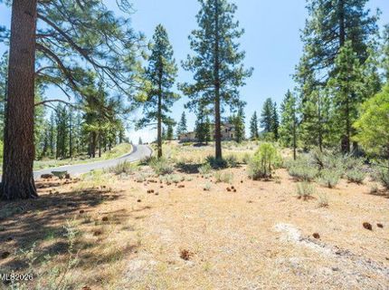 249 Redding Way, Lot #225 & 117, Carson City, NV 89705 Photo