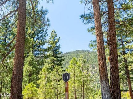249 Redding Way, Lot #225 & 117, Carson City, NV 89705 Photo