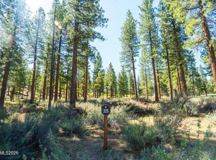 249 Redding Way, Lot #225 & 117, Carson City, NV 89705 Photo