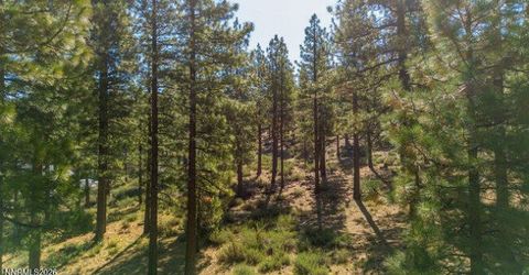 249 Redding Way, Lot #225 & 117, Carson City, NV 89705 Photo