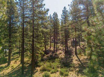 249 Redding Way, Lot #225 & 117, Carson City, NV 89705 Photo