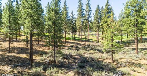 249 Redding Way, Lot #225 & 117, Carson City, NV 89705 Photo