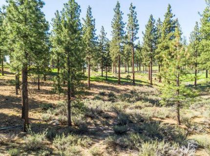 249 Redding Way, Lot #225 & 117, Carson City, NV 89705 Photo
