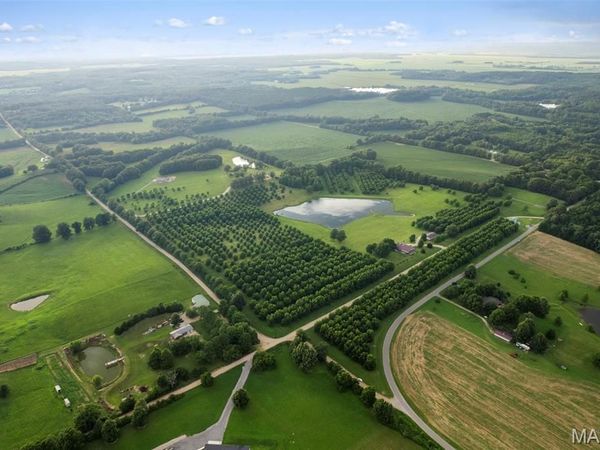26133 County Road 249 , Puxico, MO 63960