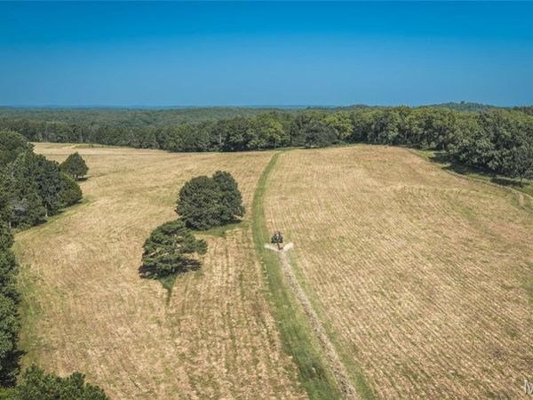 Tract 7 Private Drive 2336 , Norwood, MO 65717