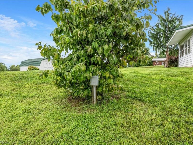 62280 Tacoma Road, Barnesville, OH 43713 Photo 34