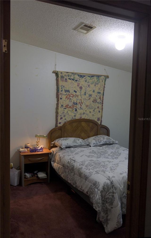 40449 Holly Branch Road, Eustis, FL 32736 Photo