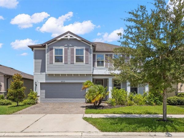 18935 BIRCHWOOD GROVES DRIVE , LUTZ, FL 33558