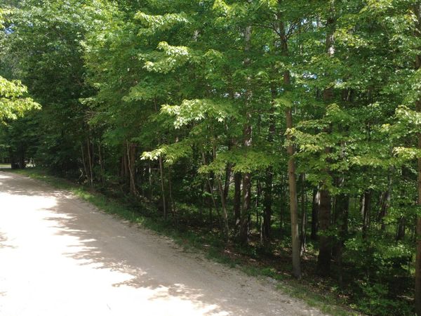 11113 Rambling Way, Stanwood, MI 49346