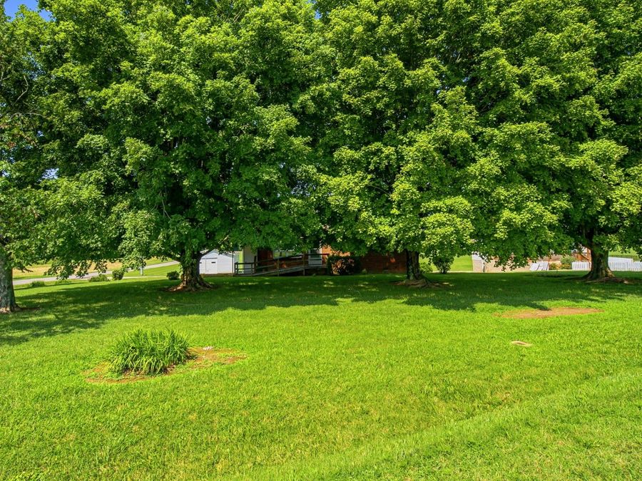 Property Image 40
