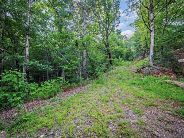 LT 760 Morton Drive, Ellijay, GA 30540