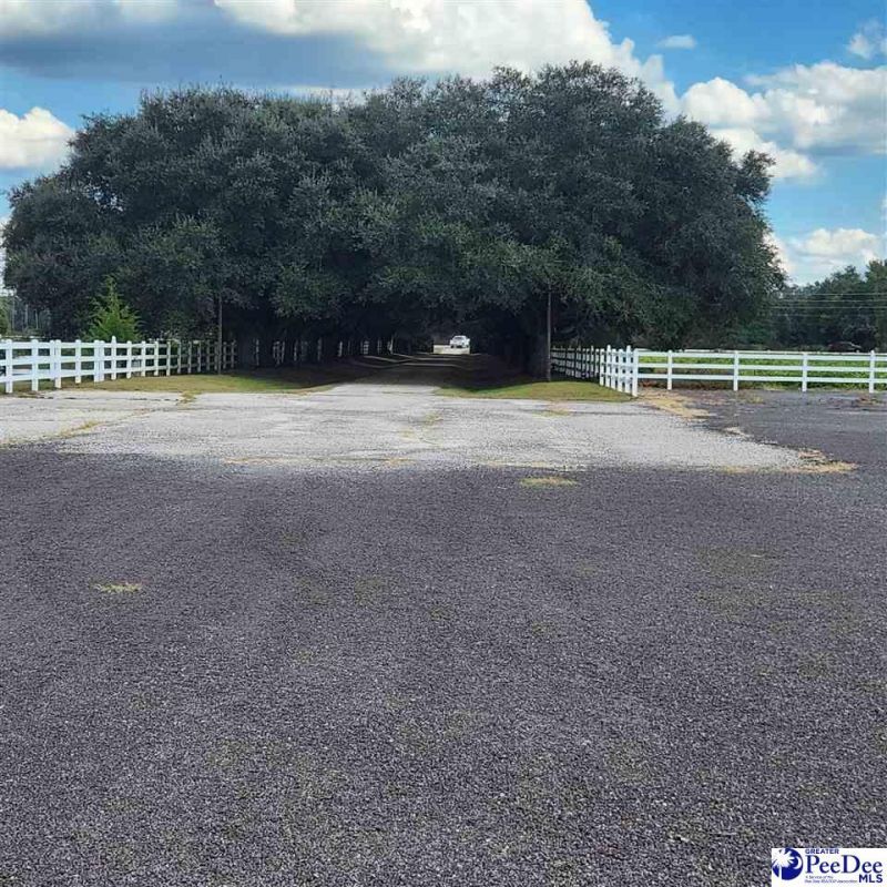 2565 N Williamsburg County Highway Photo 24