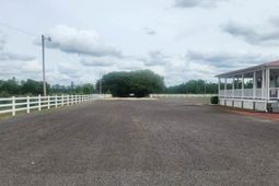 2565 N Williamsburg County Highway photo 4