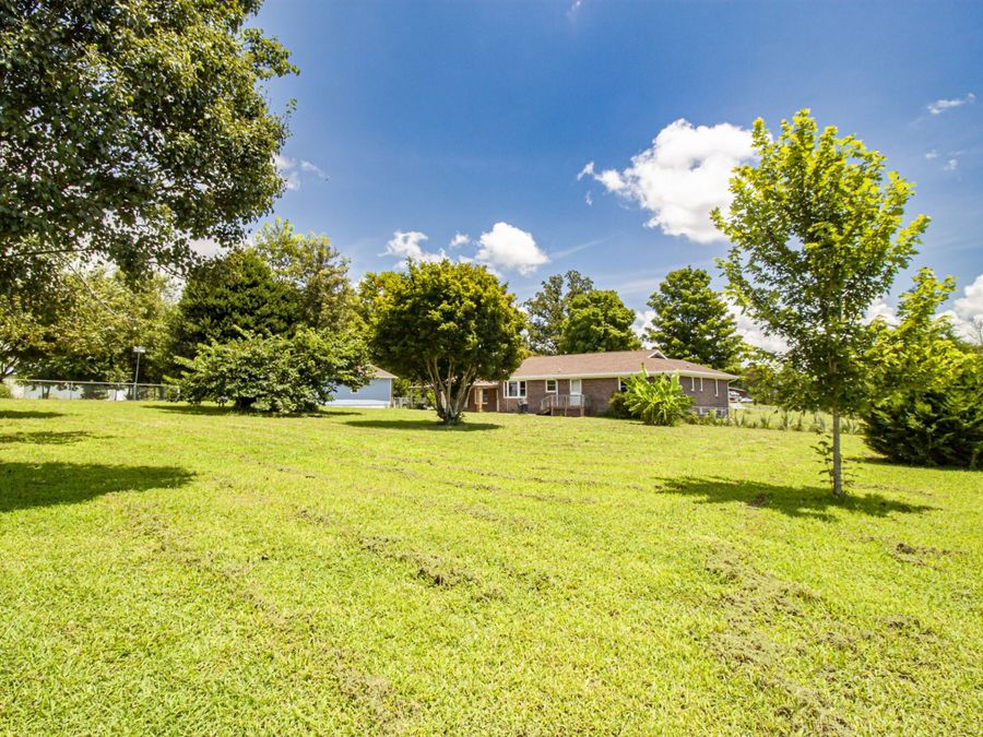 Property Image 42