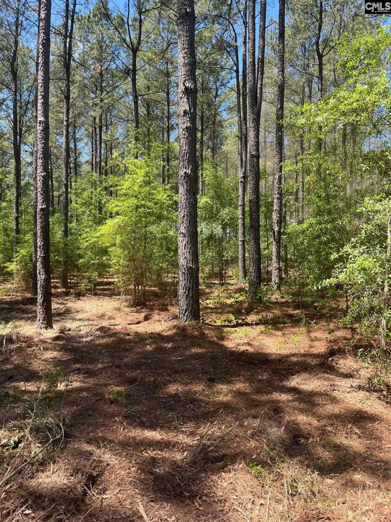 Sda 1 Salley Road  Photo 10