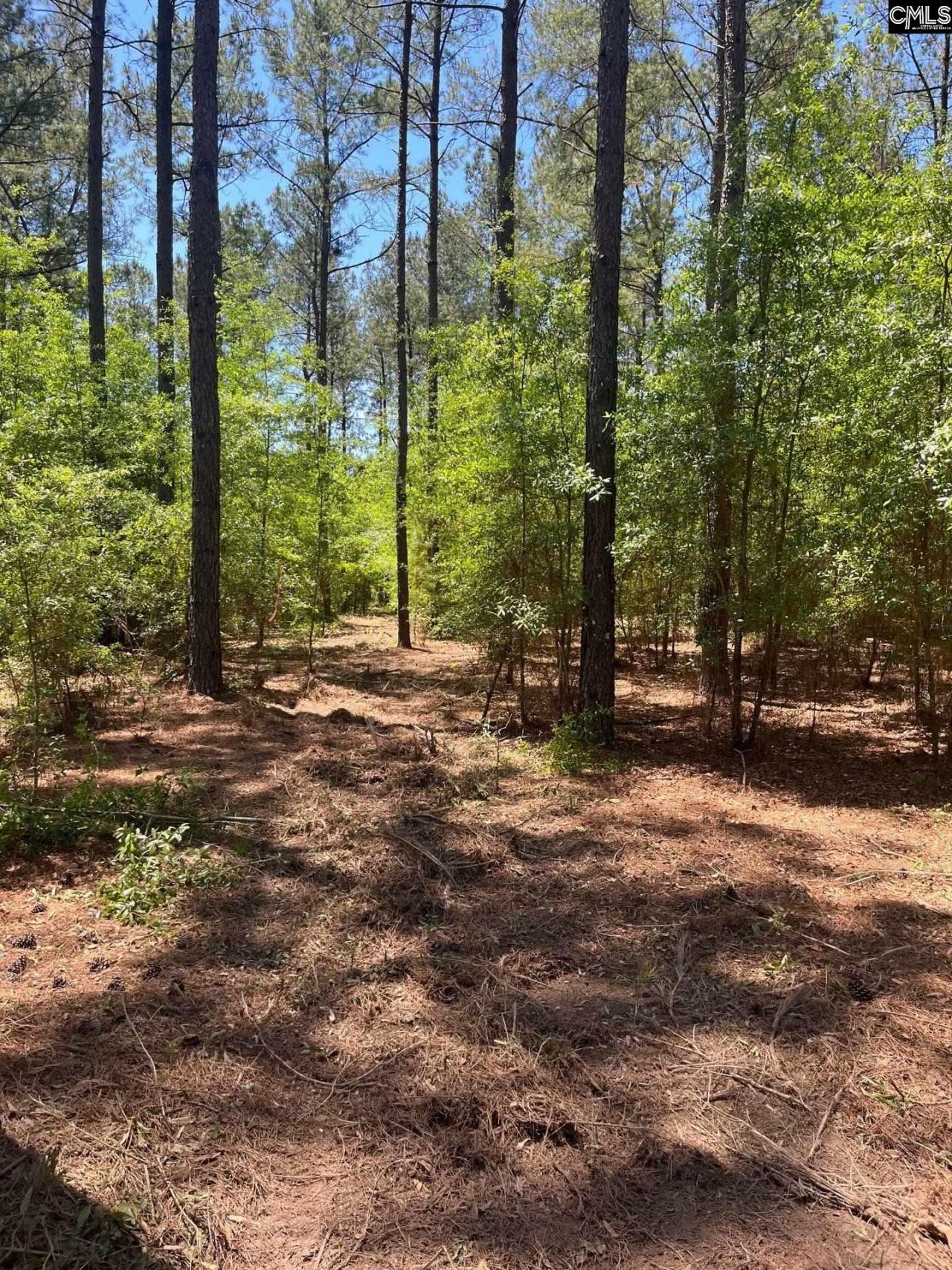Sda 1 Salley Road  Photo 11