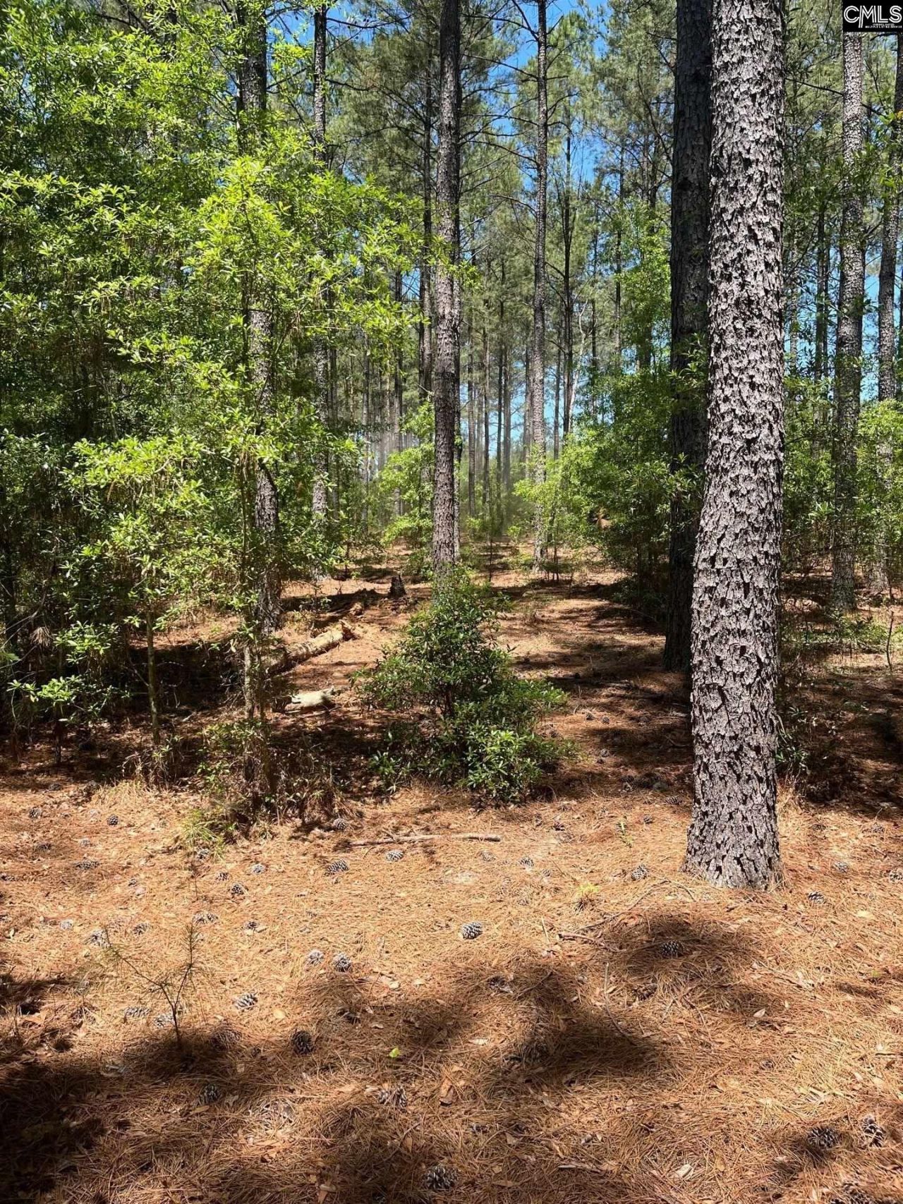 Sda 1 Salley Road  Photo 12