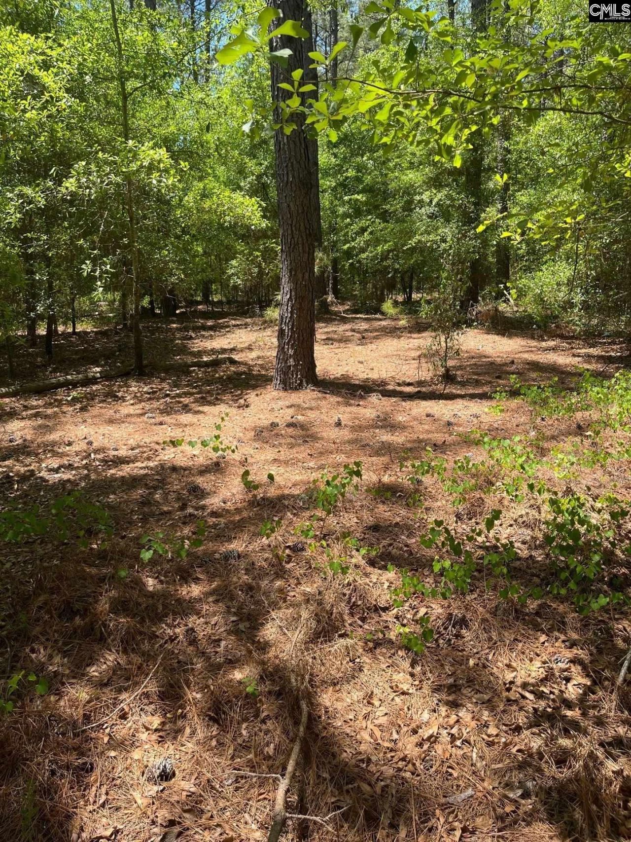 Sda 1 Salley Road  Photo 13