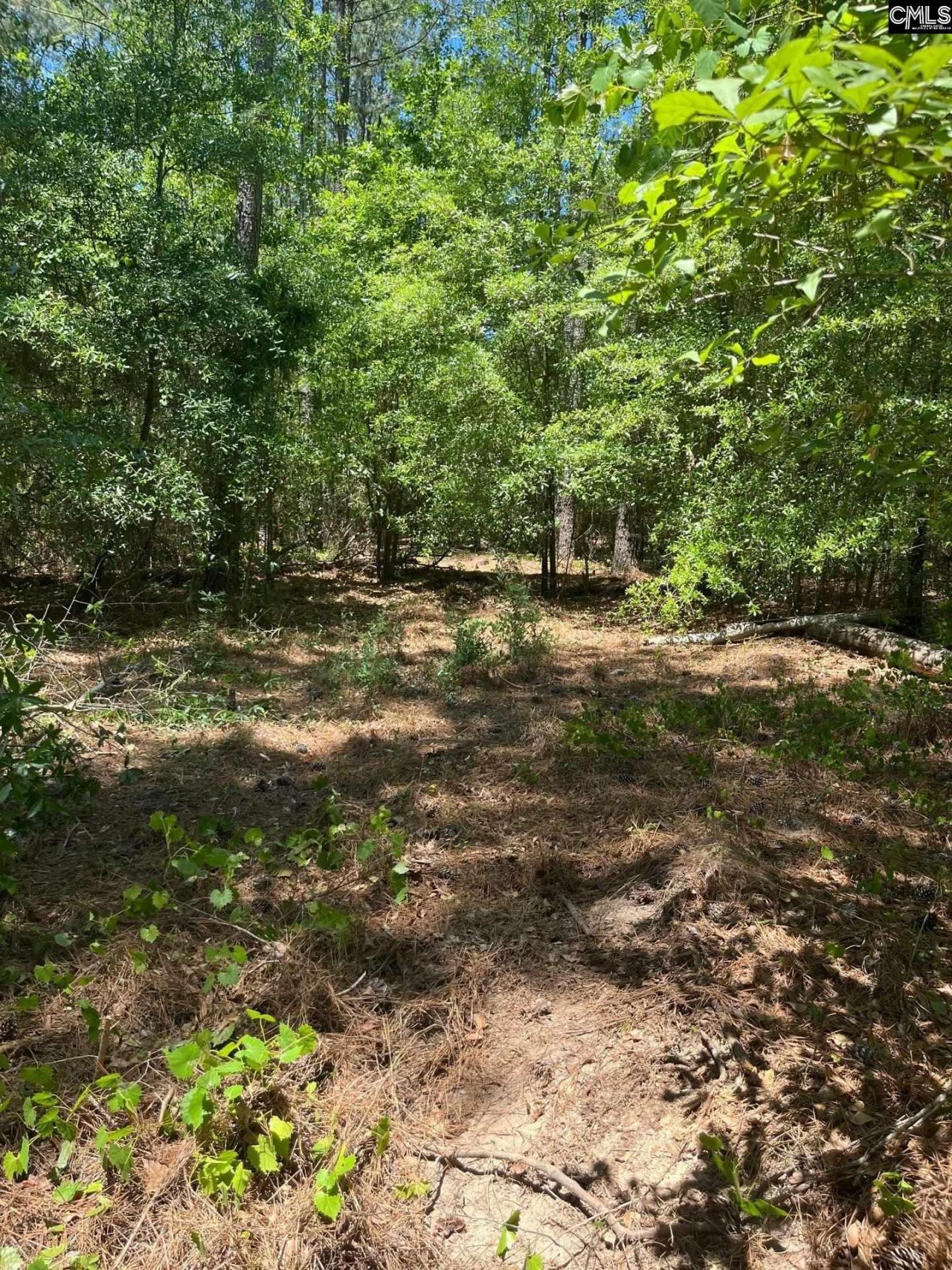 Sda 1 Salley Road  Photo 14
