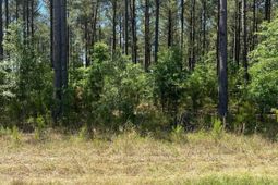 Sda 1 Salley Road  photo 4