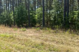Sda 1 Salley Road  photo 4