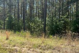 Sda 1 Salley Road  photo 4