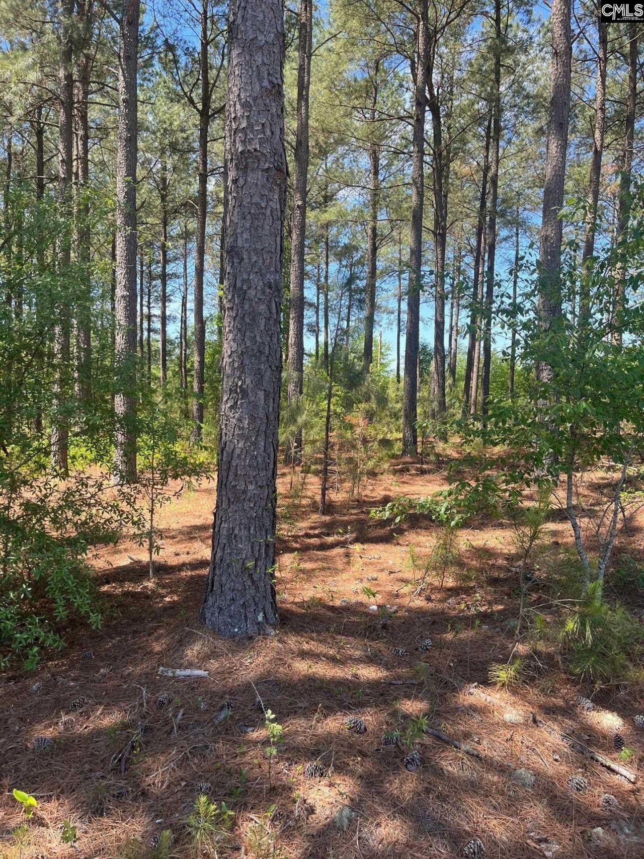 Sda 1 Salley Road  Photo 6