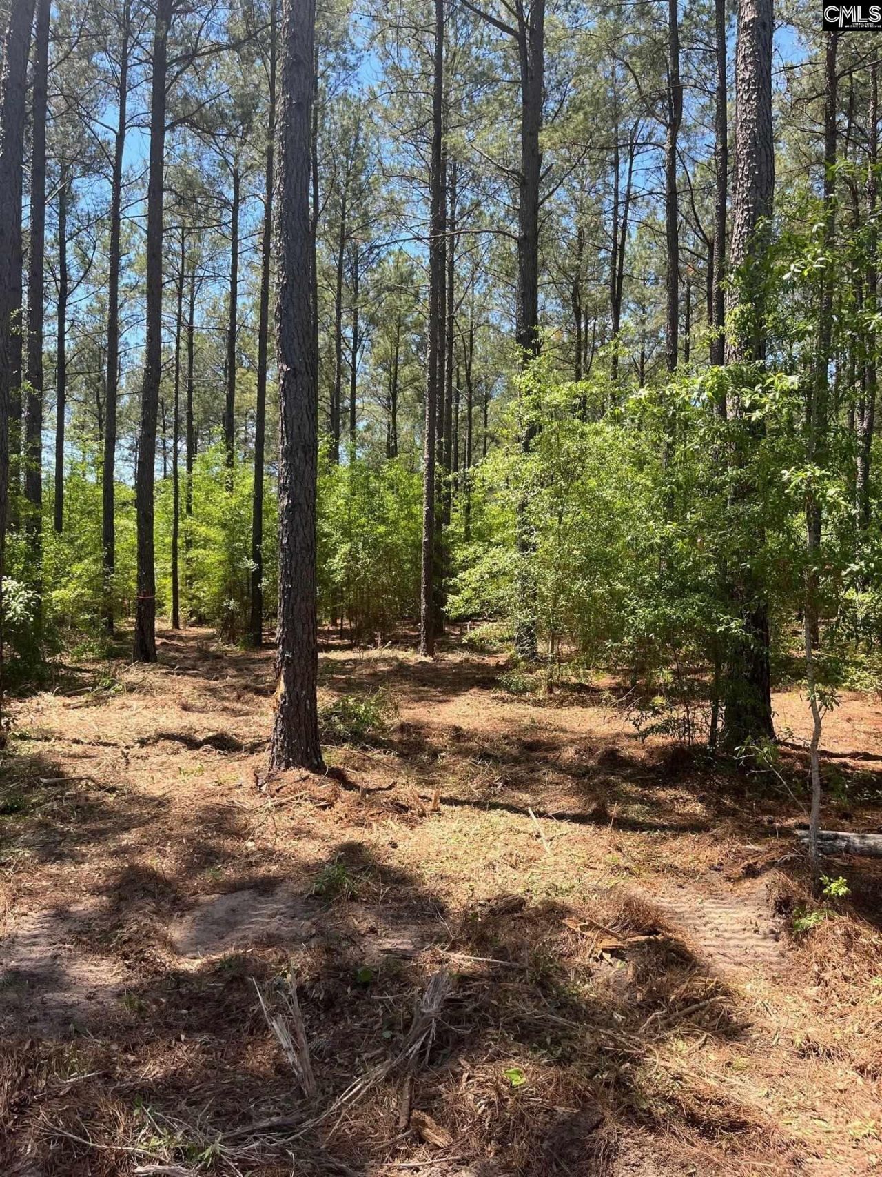 Sda 1 Salley Road  Photo 9