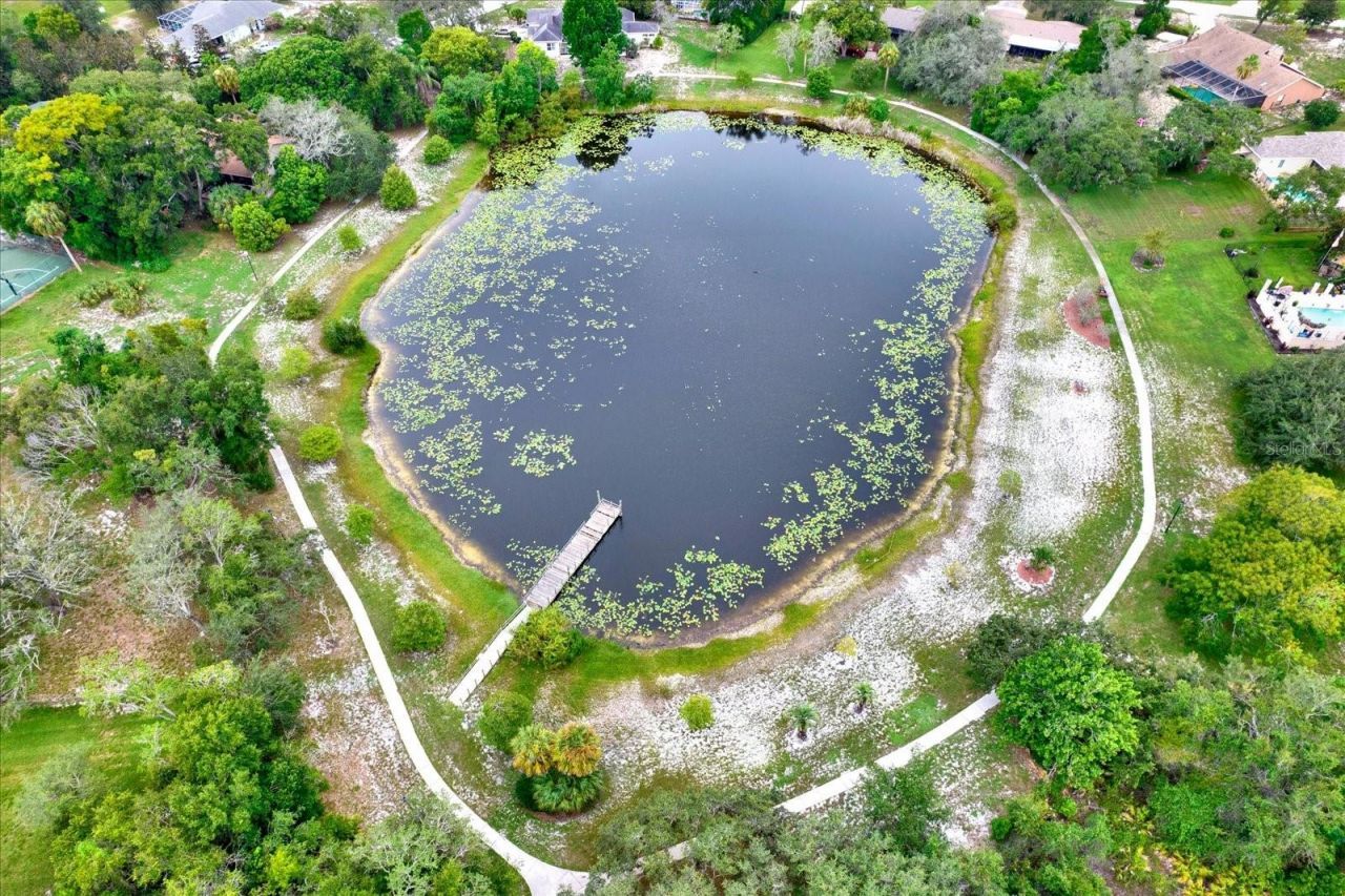 7488 River Country Drive , Weeki Wachee, FL 34607 Photo