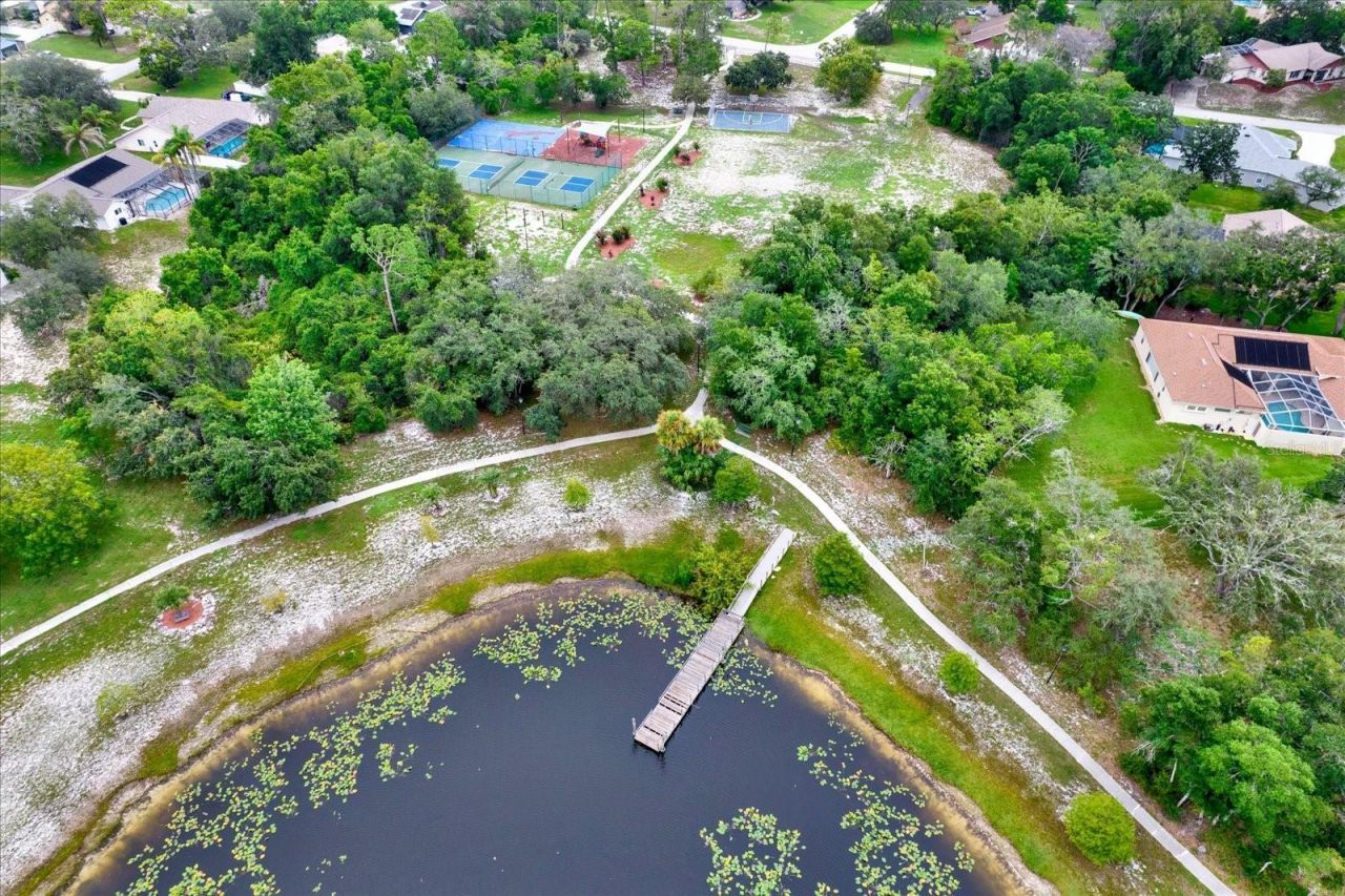 7488 River Country Drive , Weeki Wachee, FL 34607 Photo