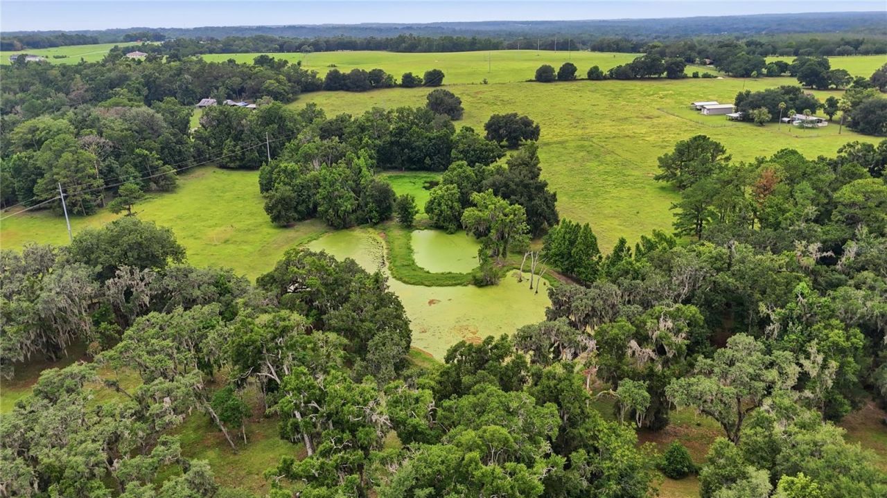 5025 Baseball Pond Road, Brooksville, FL 34602 Photo
