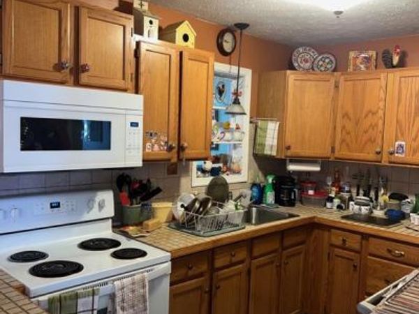 113 BAILEY DRIVE , BUSHKILL, PA 18324