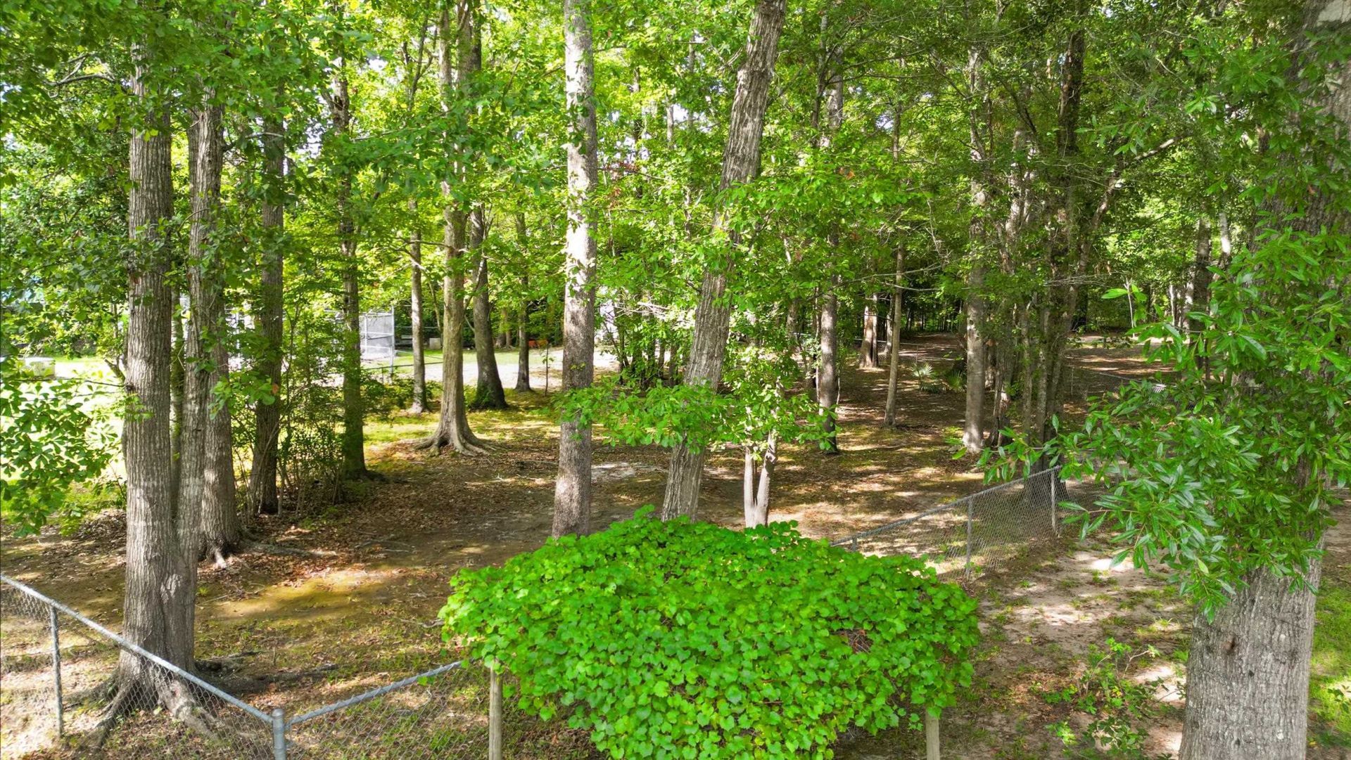 140 Windmeadows Dr. Photo 44