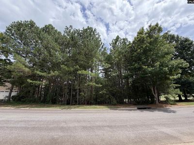 122 Peppermint Lane , Blythewood, SC 29016