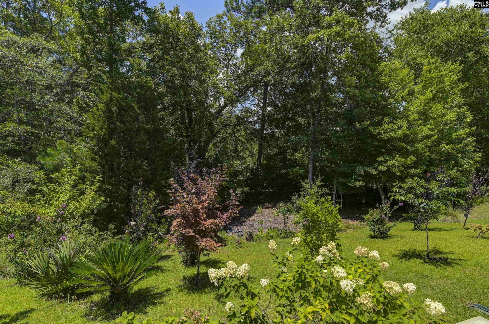 215 Shoals Landing Drive  Photo 45