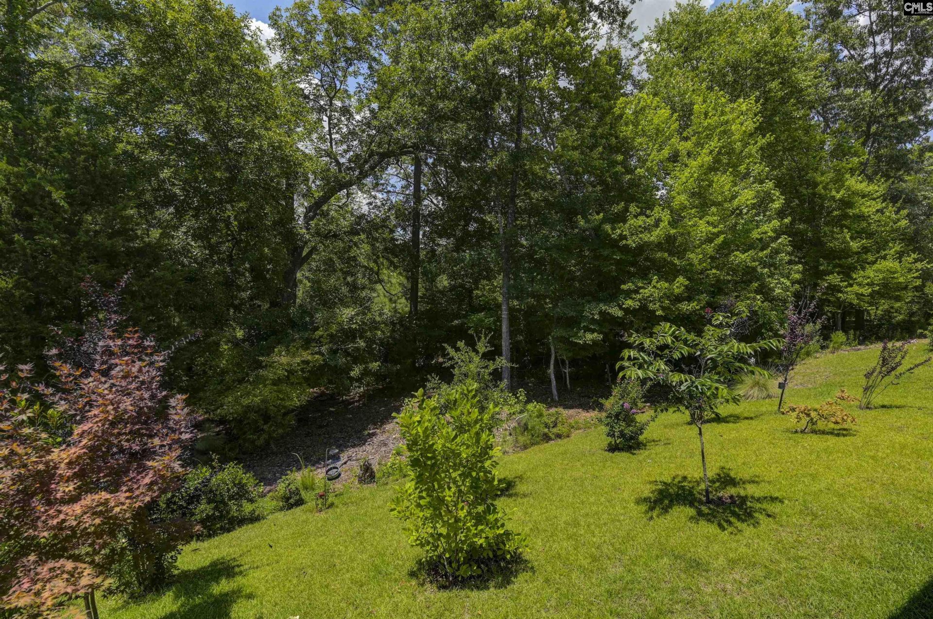 215 Shoals Landing Drive  Photo 46