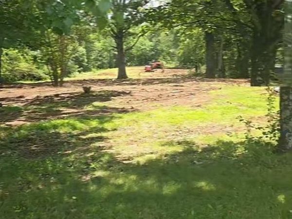 6208 Co Rd 8, Waterloo, AL 35677