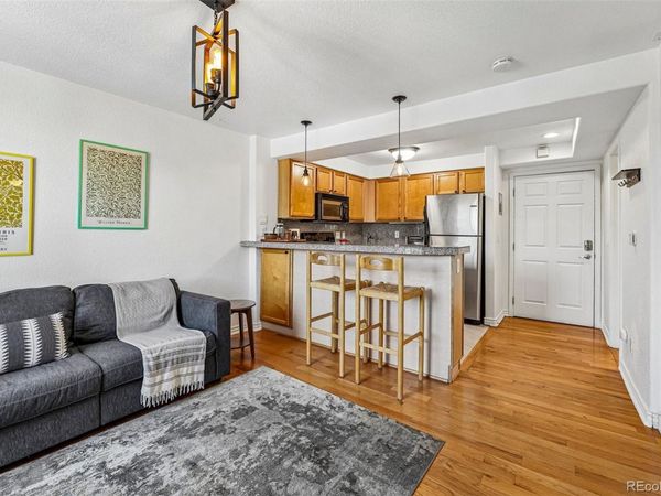 1833 N Williams Street, Unit 504, Denver, CO 80218