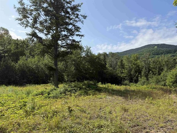 1559 Pinkham Road, Unit Lots # 3 & 4, Burke, VT 05832