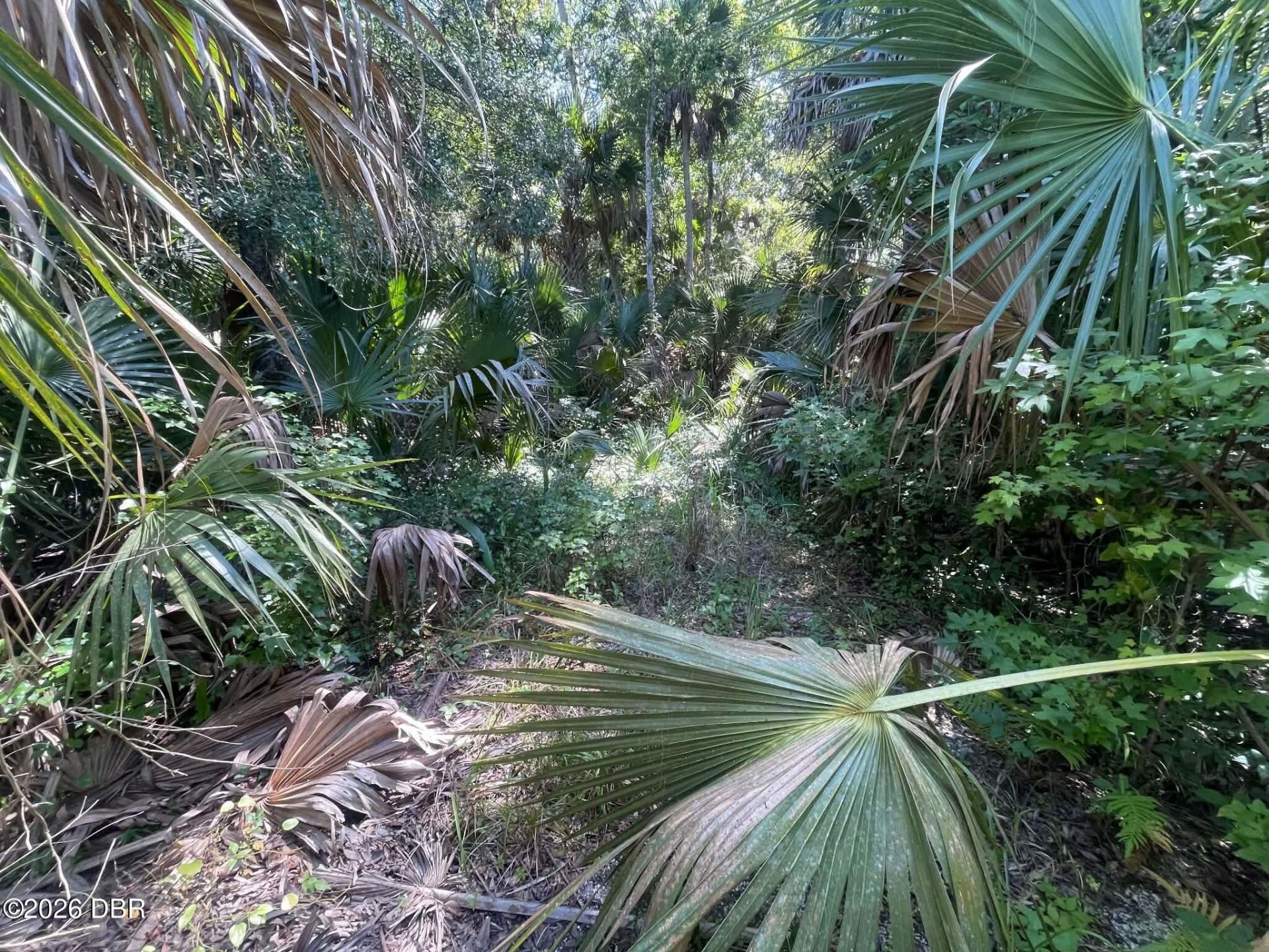 0 Old Mission Road, New Smyrna Beach, FL 32168 Photo