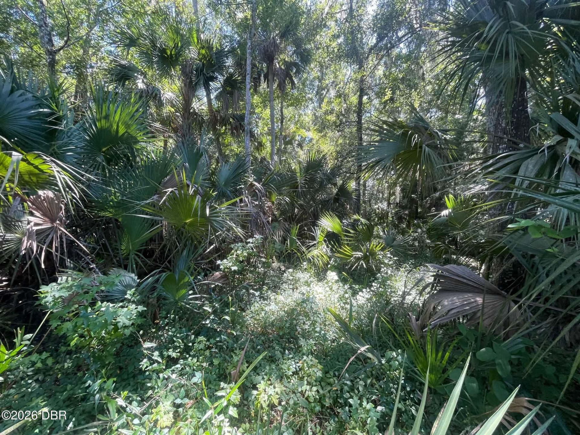 0 Old Mission Road, New Smyrna Beach, FL 32168 Photo
