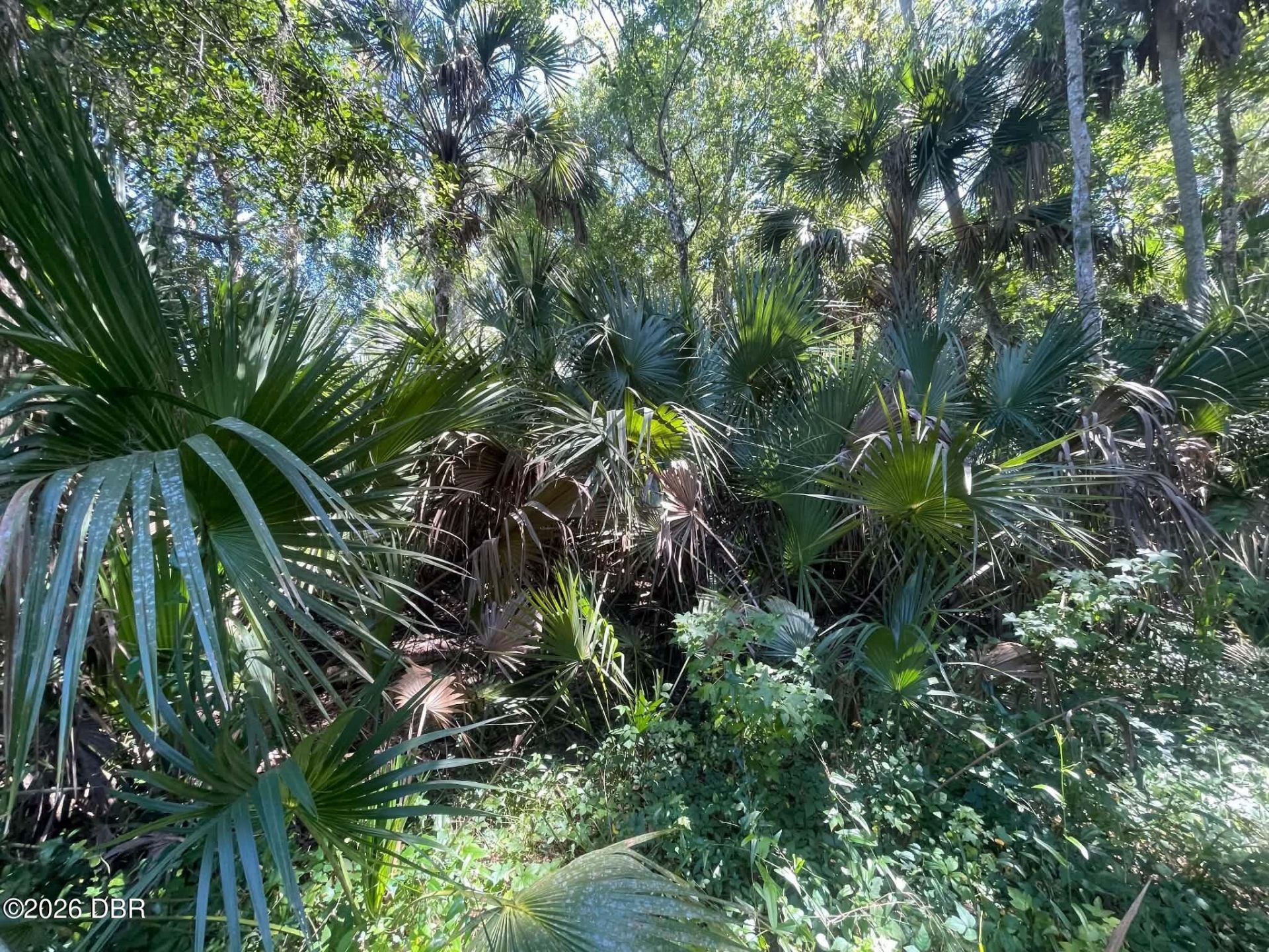 0 Old Mission Road, New Smyrna Beach, FL 32168 Photo