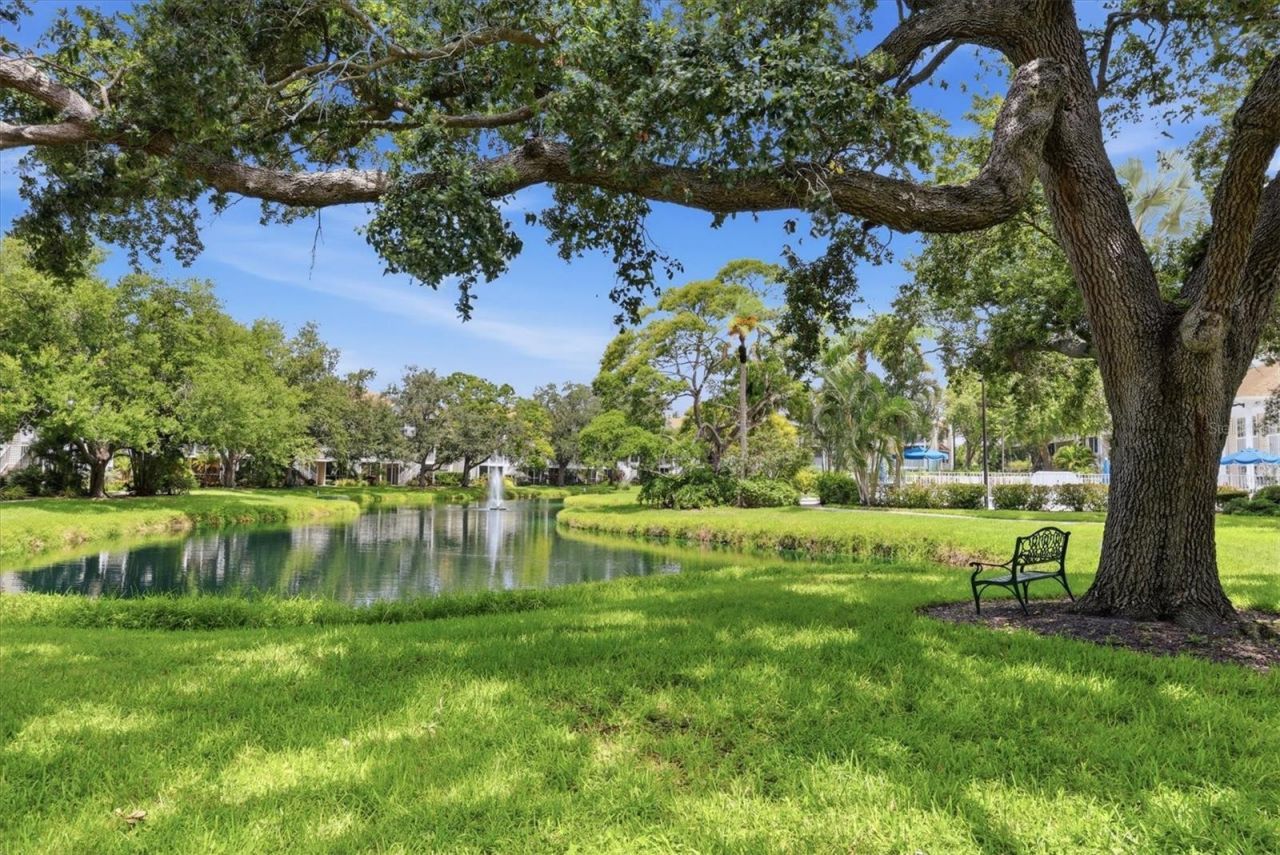 850 S Tamiami Trail, Unit 224, Sarasota, FL 34236 Photo